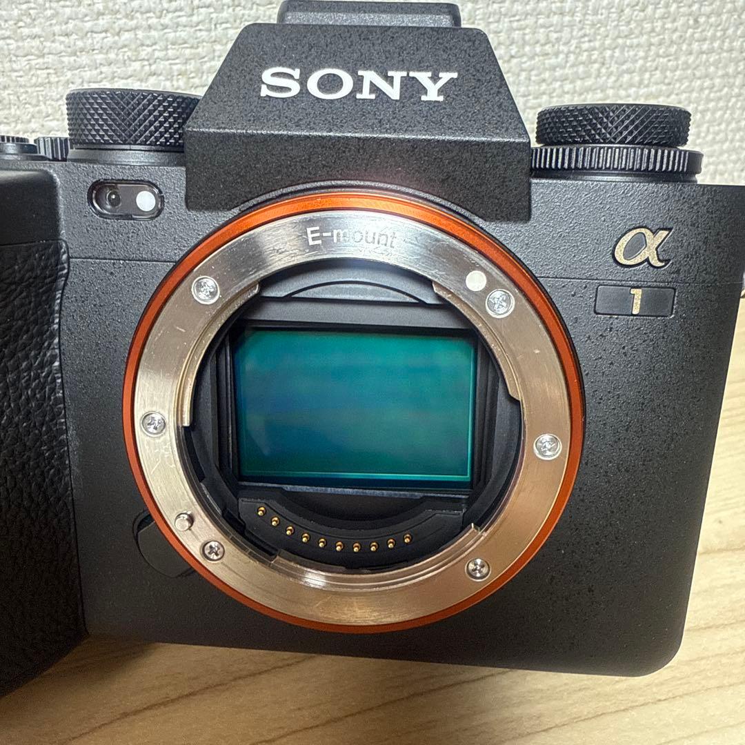 SONY　α1　ILCE-1