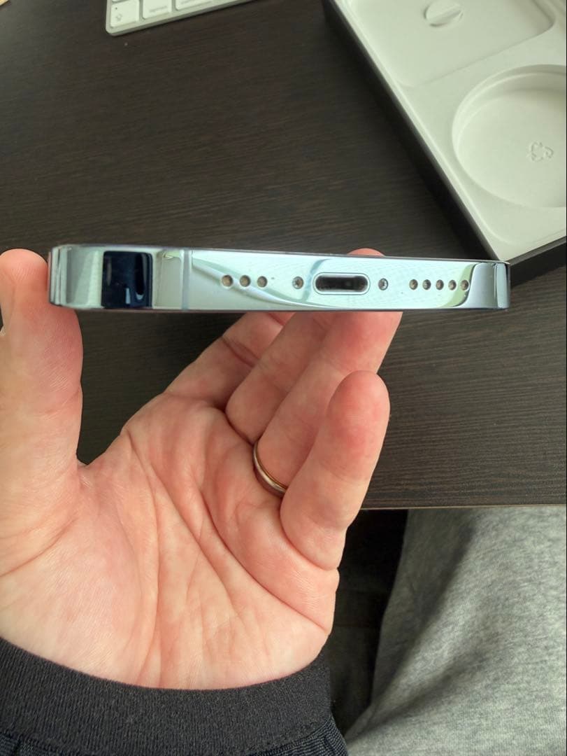 【超美品】 iPhone 13Pro 258GB シエラブルー SIMフリー