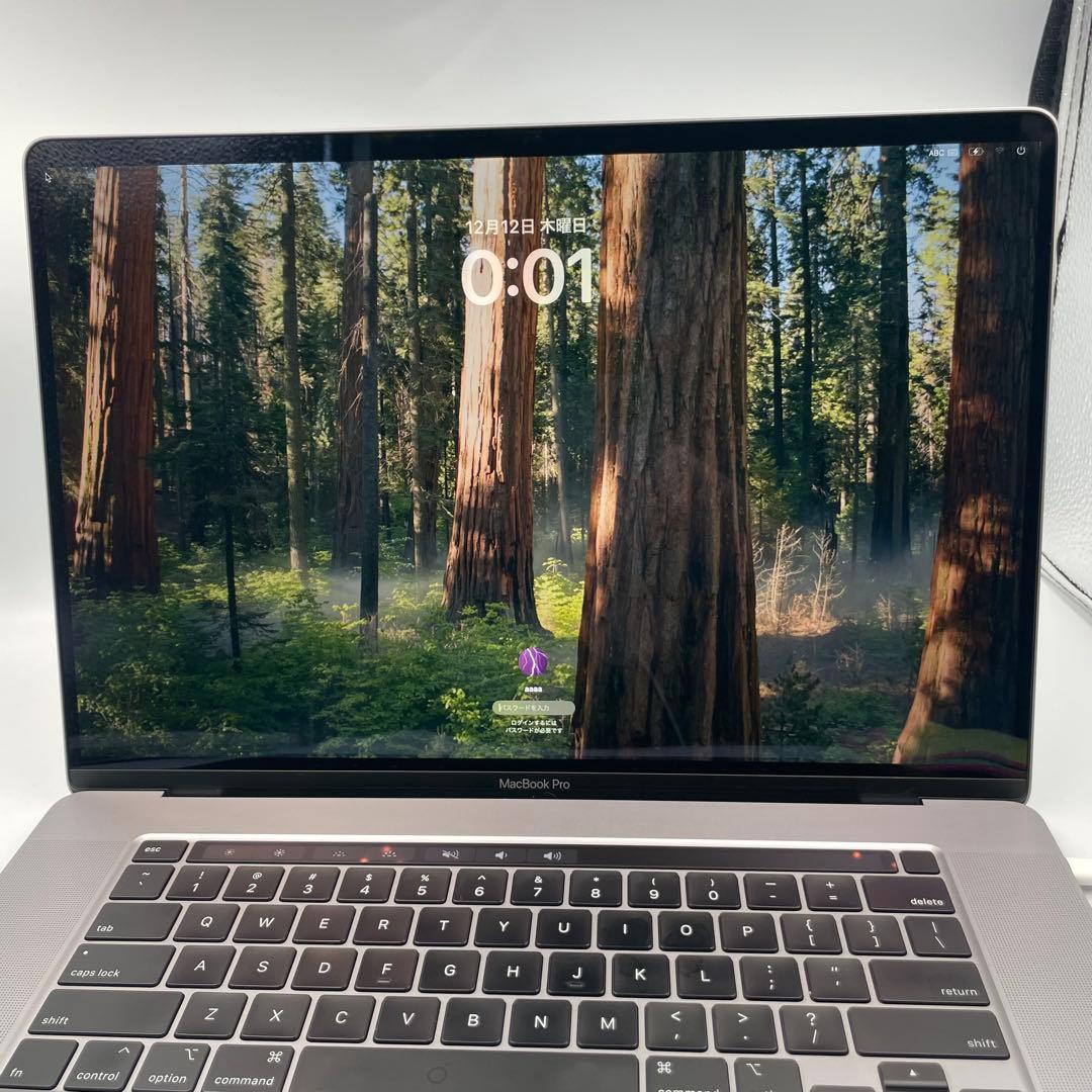 MacBookPro 16インチ 2019 Radeon pro 5500M