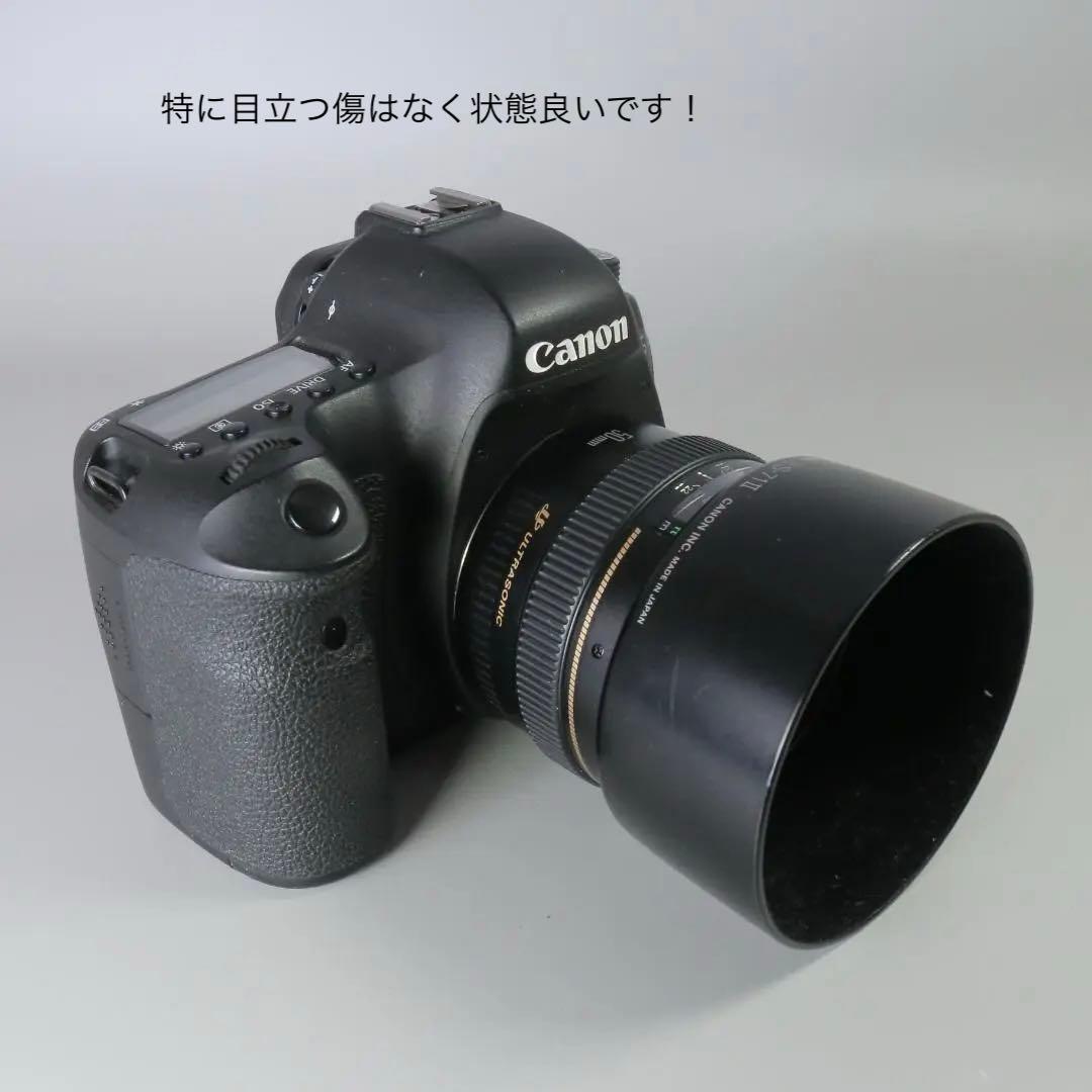 ☆ショット22272回☆美品 Canon 6D 50ｍｍ F1.4 ＃250