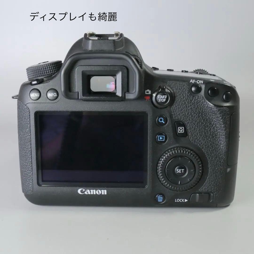 ☆ショット22272回☆美品 Canon 6D 50ｍｍ F1.4 ＃250