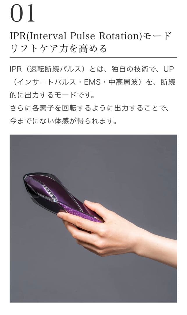 the Vzusa メデューサ ロイヤルパープル