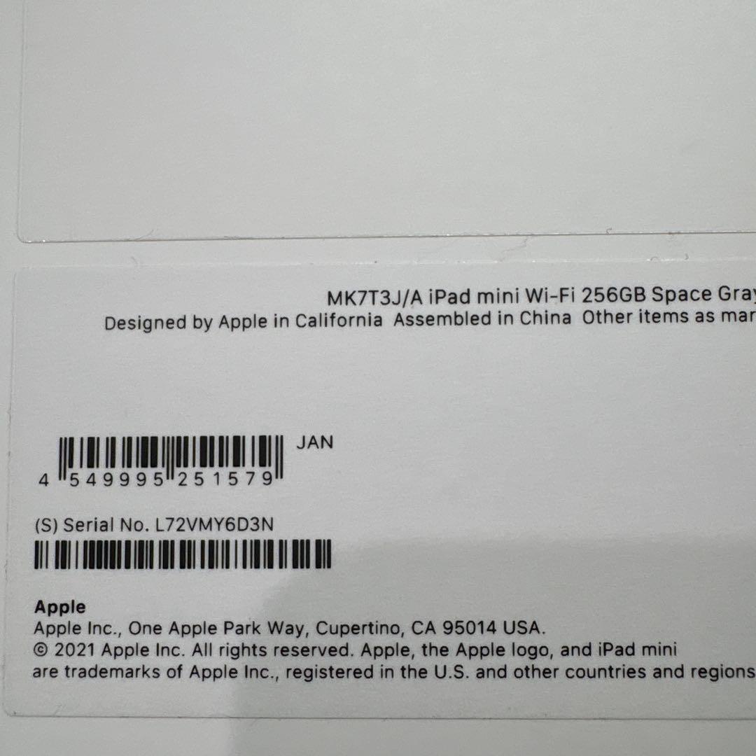 iPad mini (第6世代) 256GB Wi-Fi 本体