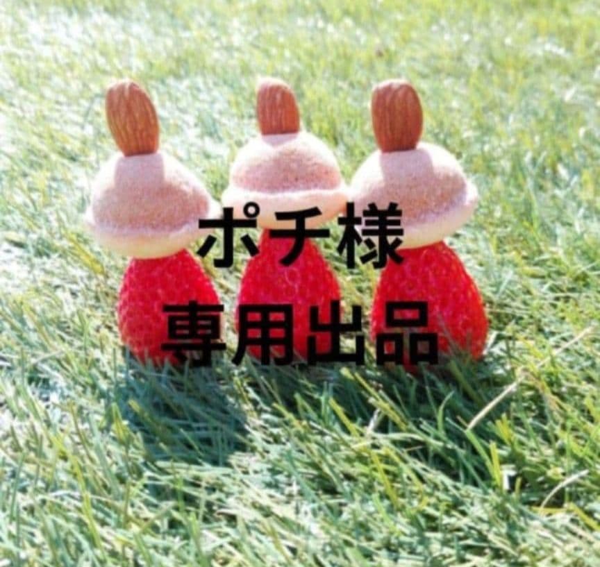 ポチ やよい800 10クール便