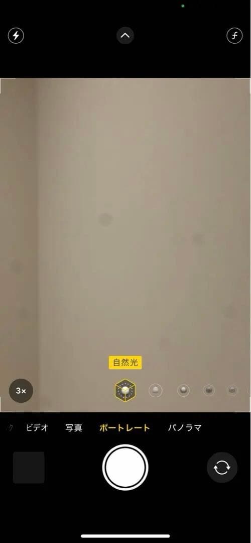 【12/21(日)まで】iPhone 13 Pro 256GB SIMフリー