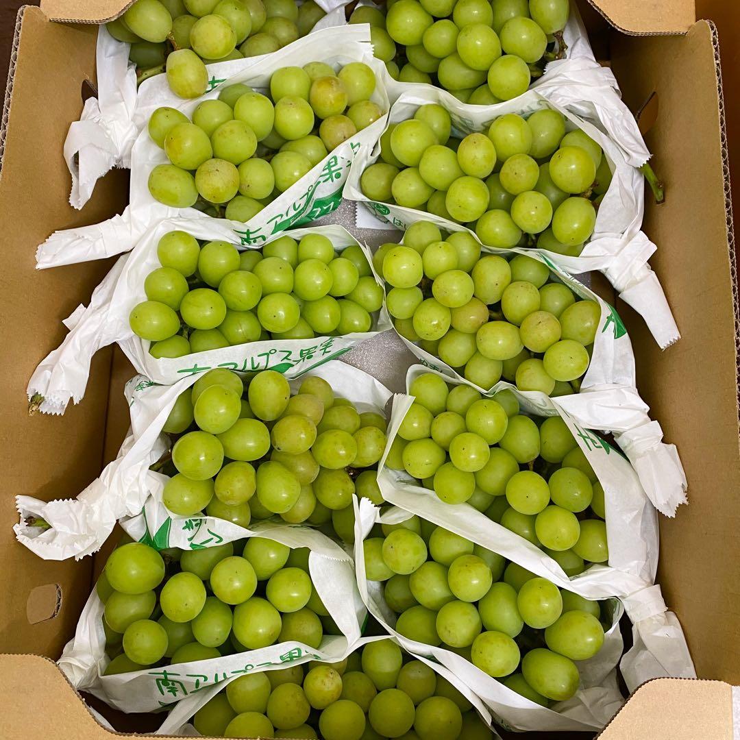 山梨県産　訳あり　家庭用　シャインマスカット　11房　箱込み5.6kg ⑬