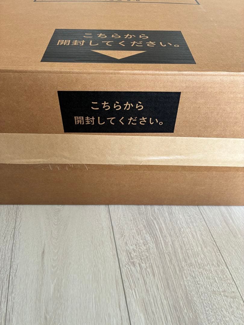 popin aladdin x2 plus 【超美品】