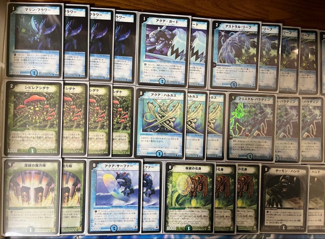 2003年インビンシブルリーグ　レギュラークラス優勝　リーフタッチ黒