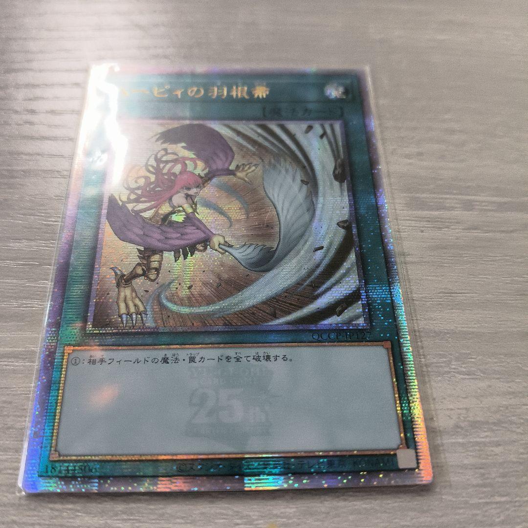 ハーピィの羽根帚　絵違い　25thシク アジア版#01