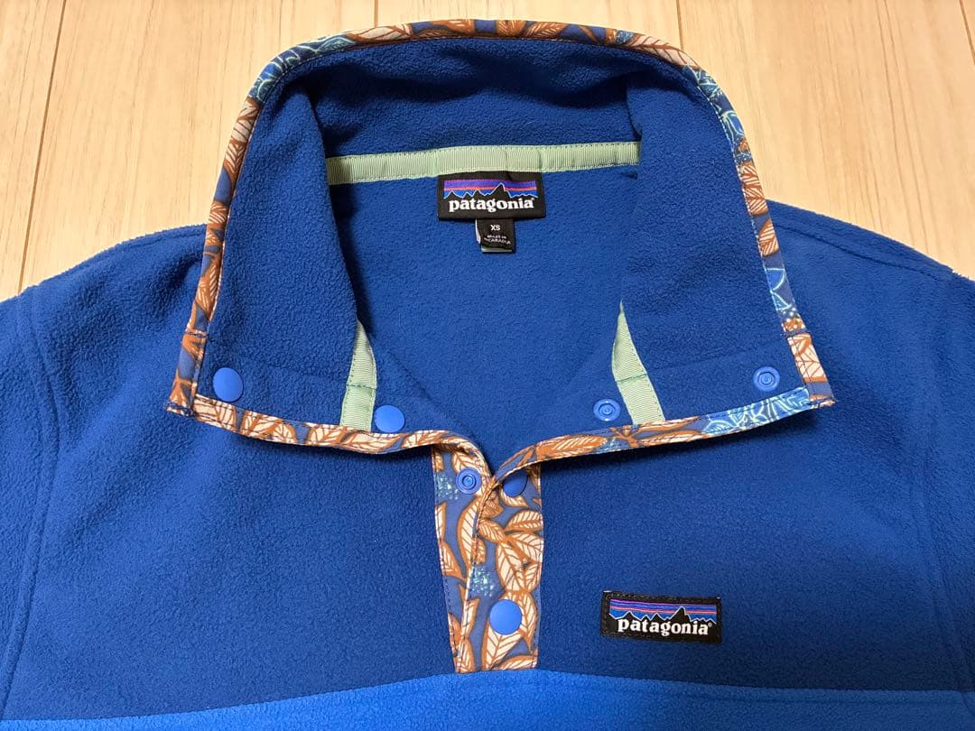 patagonia パタゴニア マイクロD スナップT