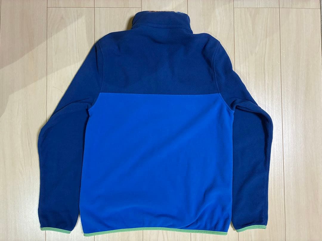 patagonia パタゴニア マイクロD スナップT