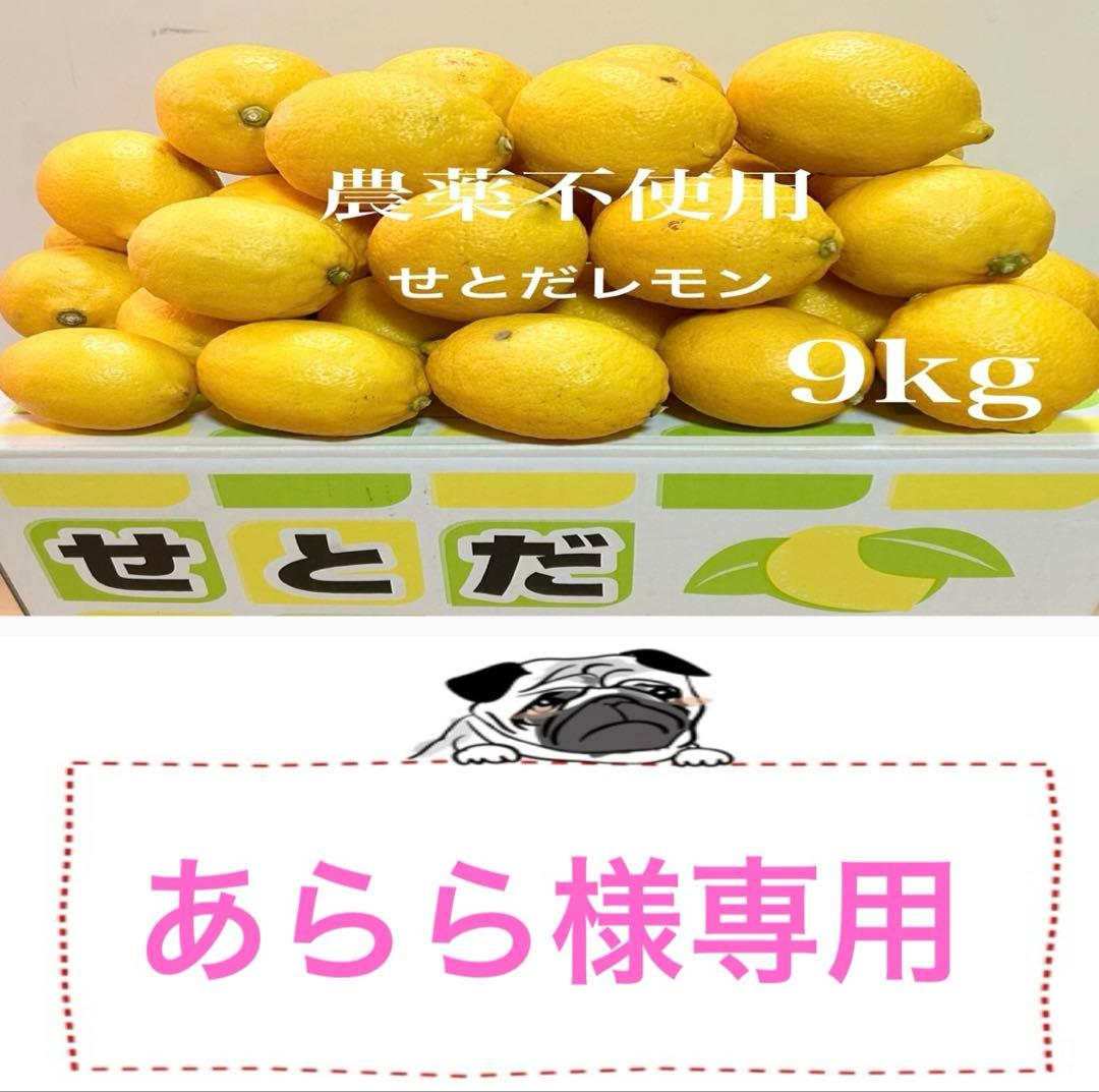 ☆国産瀬戸田レモン9kg前後　あらら様