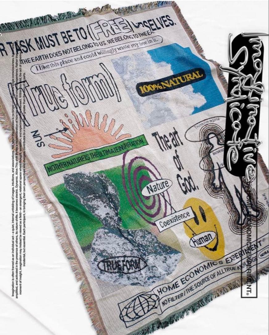  ECONOMICS EXPERIMENT ラグ　マット