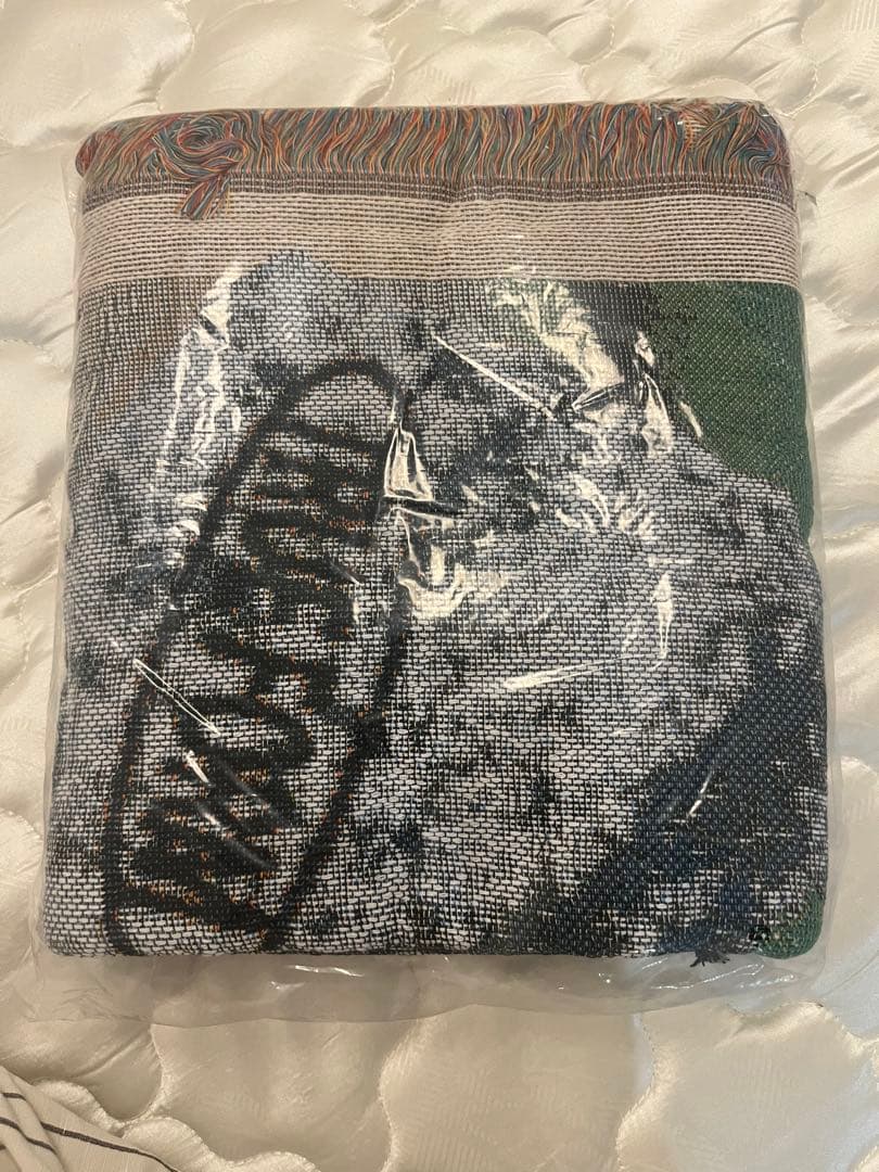  ECONOMICS EXPERIMENT ラグ　マット