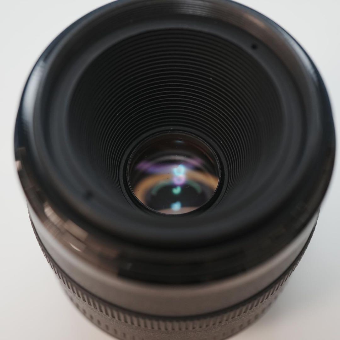 Canon純正 50mm F2.5 美品 a3865