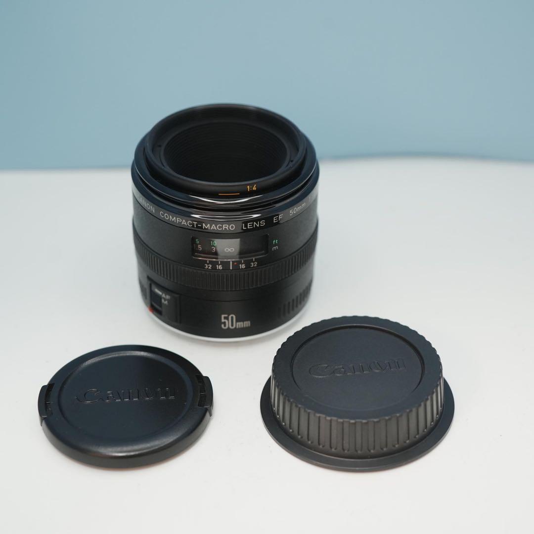 Canon純正 50mm F2.5 美品 a3865