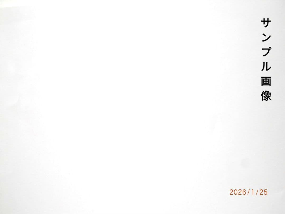 【付属品完備】カシオ　EXILIM EX-Z85　19mm薄型モデル　作例掲載有