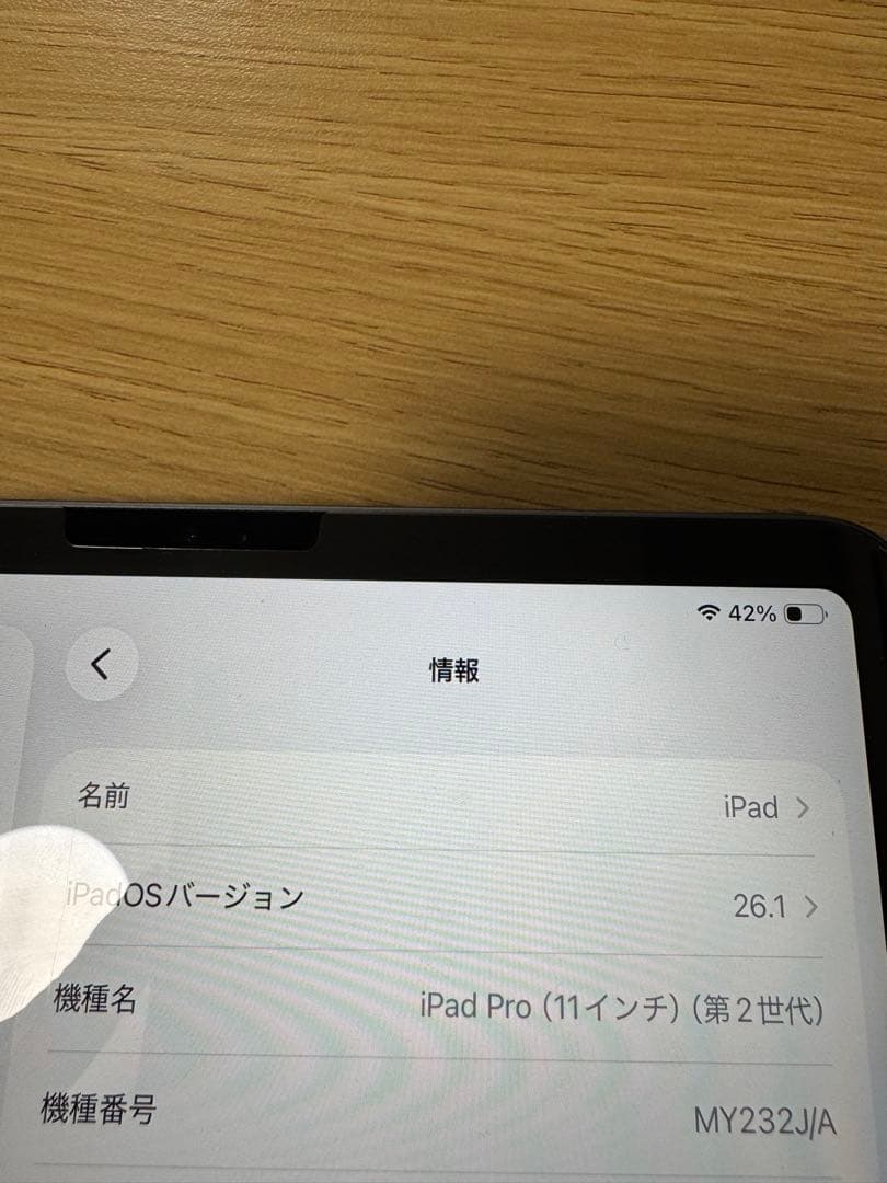 iPad Pro (11インチ) 第2世代 Apple Pencil付き