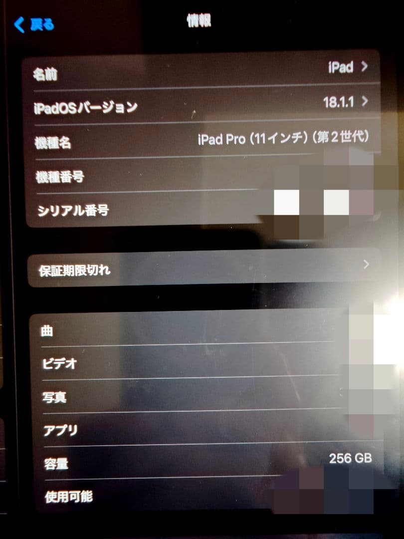 iPad Pro 11インチ 第2世代 256GB + Apple Pencil