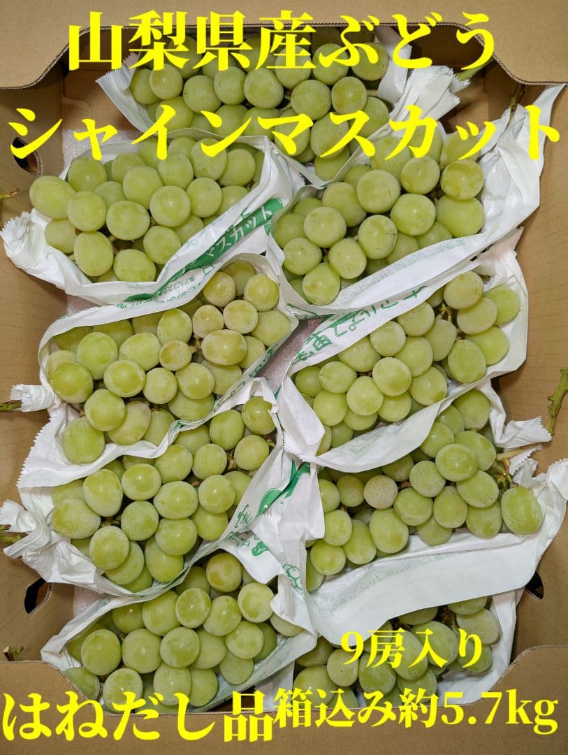山梨県産ぶどう　シャインマスカット　9房入り箱込み約5.7kg
