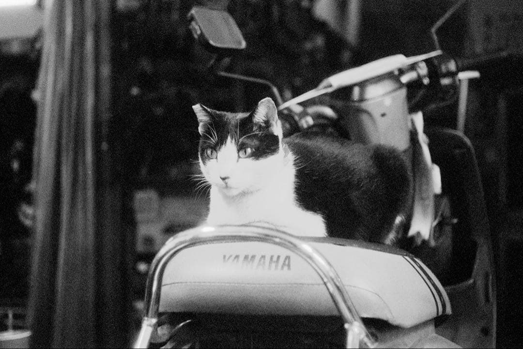 ライカⅢf レッドシンクロ + 外付けセルフタイマー