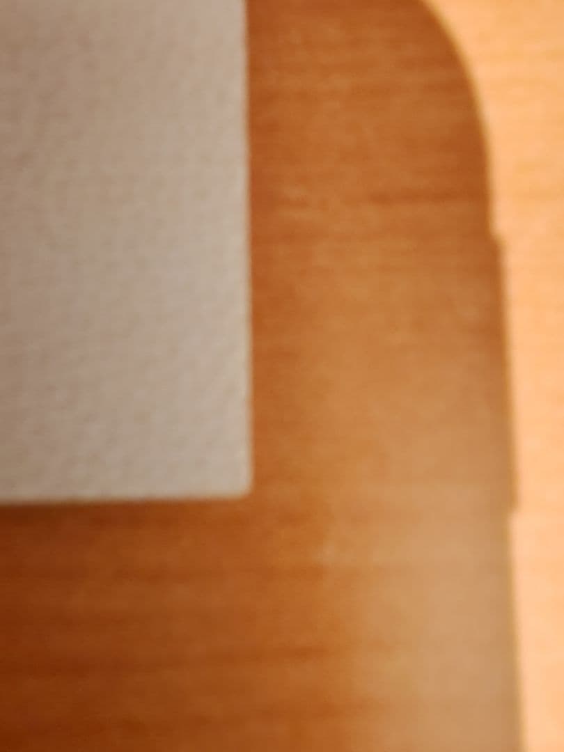 スラムダンク カードダスマスターズ 流川楓#31