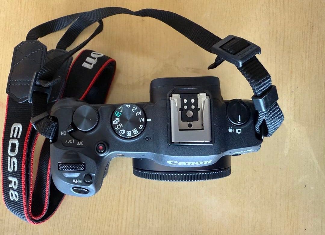 キヤノン CANON EOS R8 予備バッテリー付