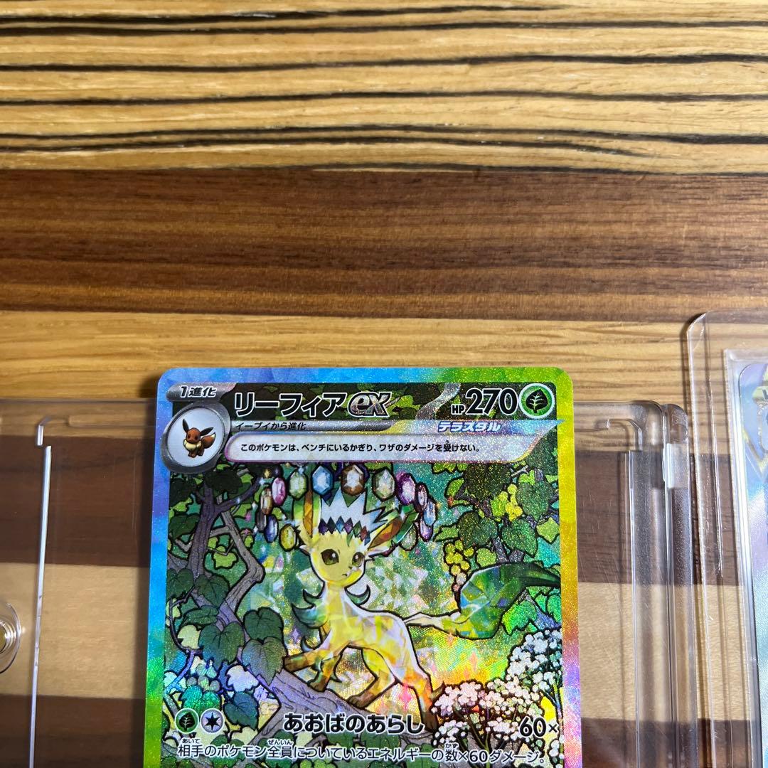 リーフィアセット