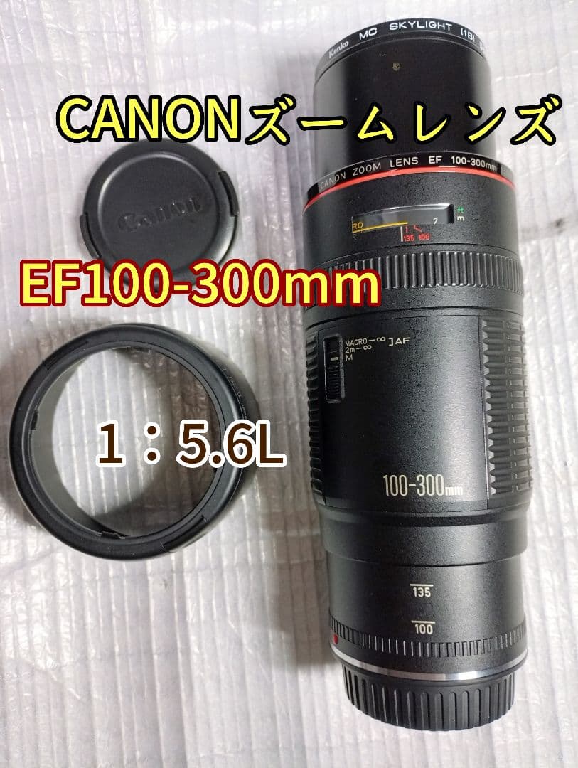 CANON EF100-300mm 1：5.6L ズームレンズ 美品！
