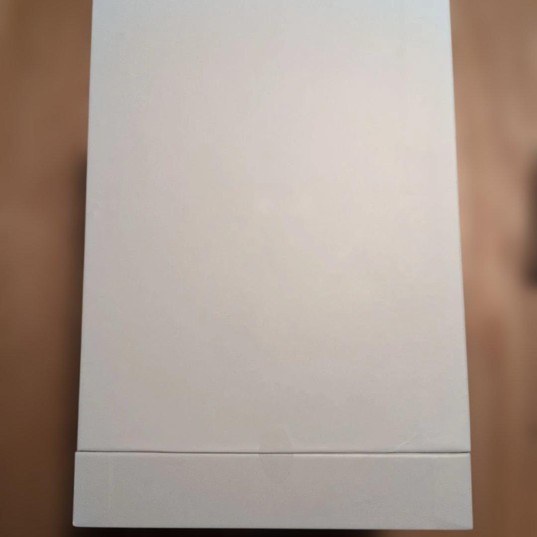 SALONIA サロニア ピュアブライト スチーマー フェイススチーマー