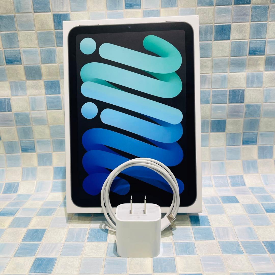 Wi-Fi iPad mini 第6世代 本体 64GB グレイ 電池良好