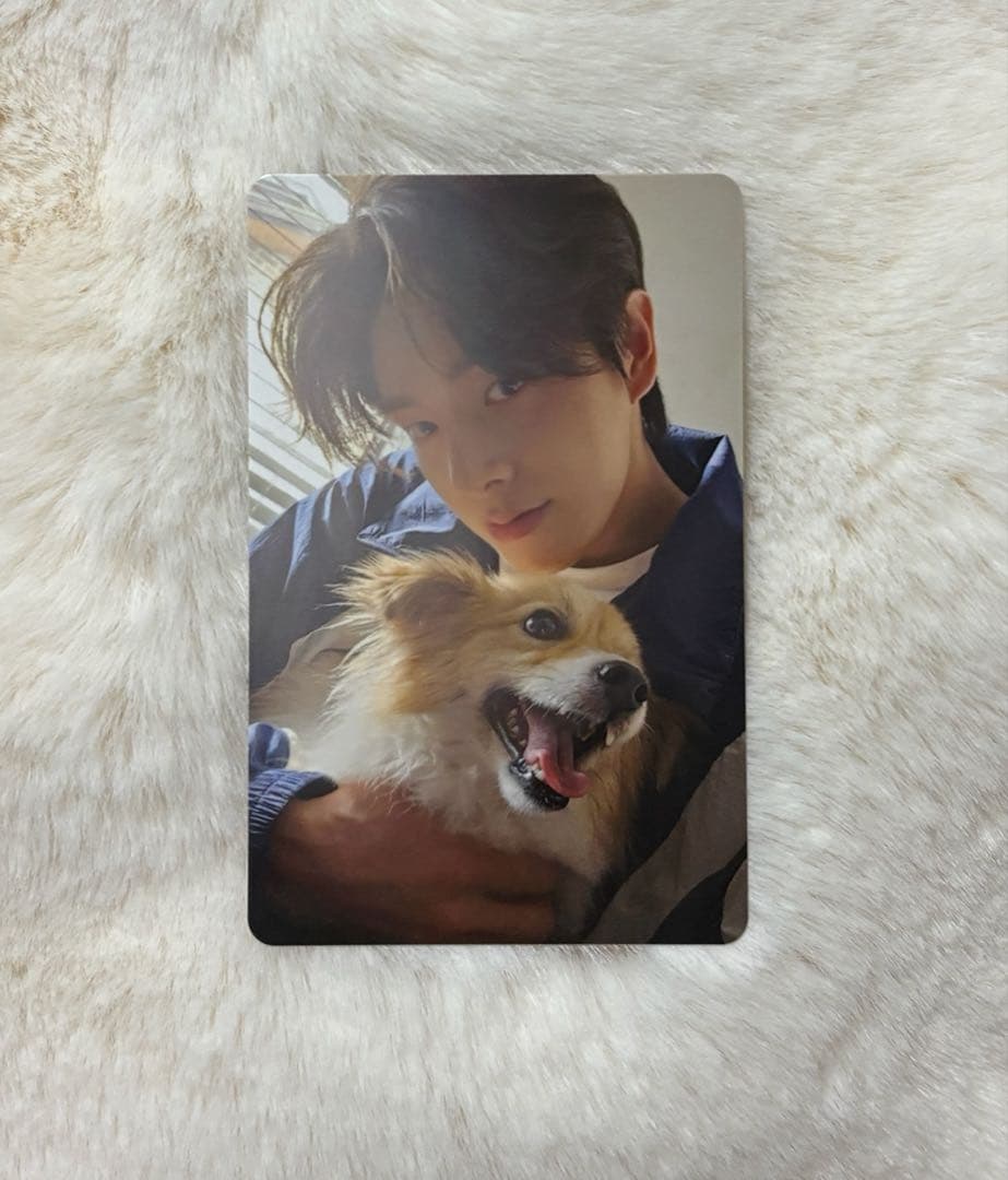 ENHYPEN FC アンケートトレカ 2025 ジェイク