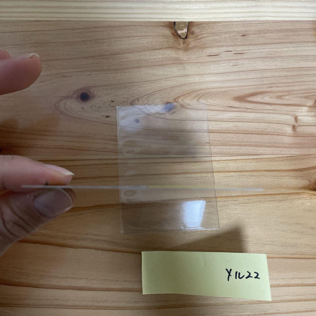 ポケモンカード ヨコハマのピカチュウ PROMO 283/SM-P