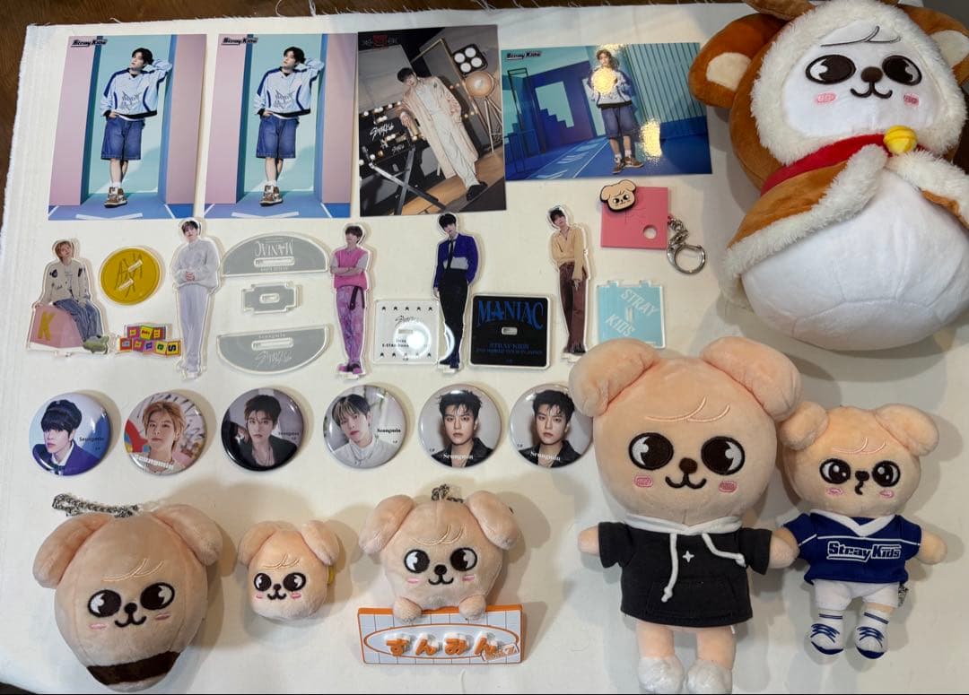 Stray kids スキズ スンミン トレカ ぬいぐるみ 109点 まとめ売り