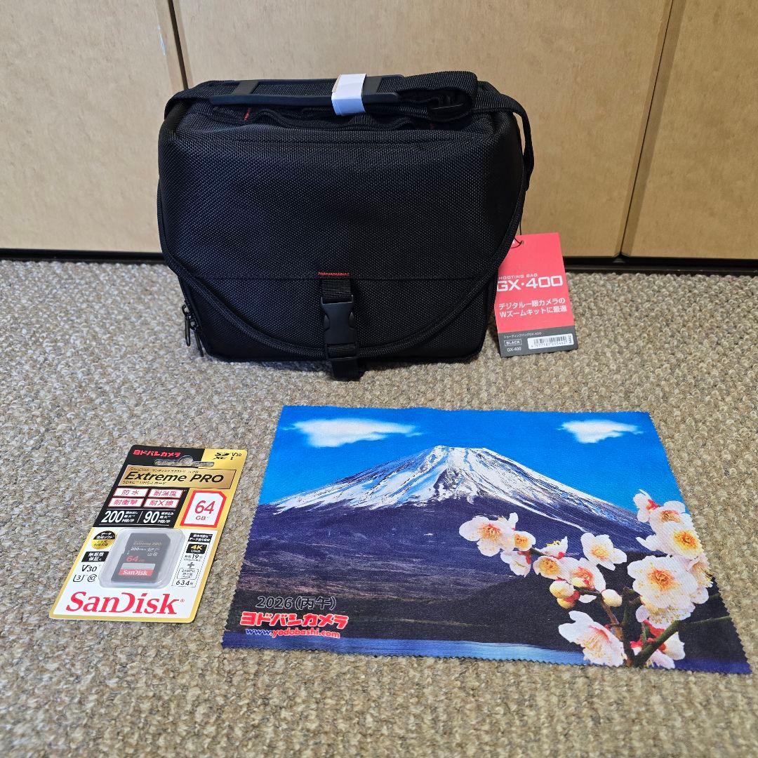 ★新品 SONY 4Kビデオカメラ FDR-AX45A★