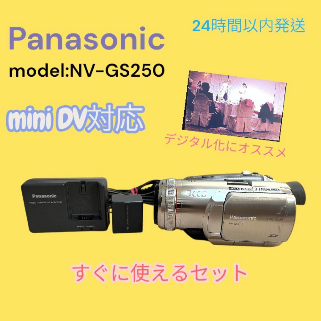 Panasonic NV-GS250 mini DV ビデオカメラ