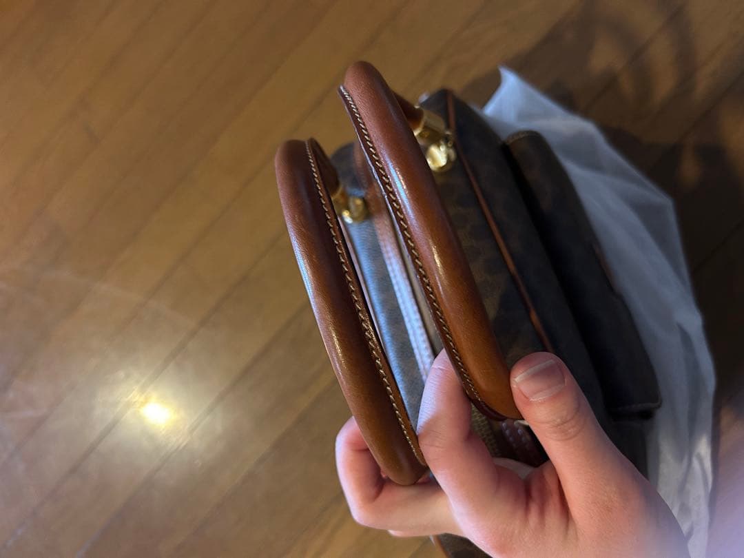 さ*ん様 オールドセリーヌハンドバッグ