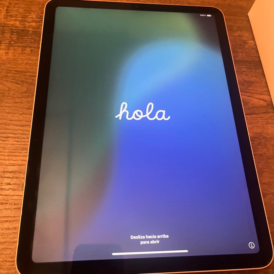 ぽんぬき様　Apple iPad Air (第4世代) +Apple Penci