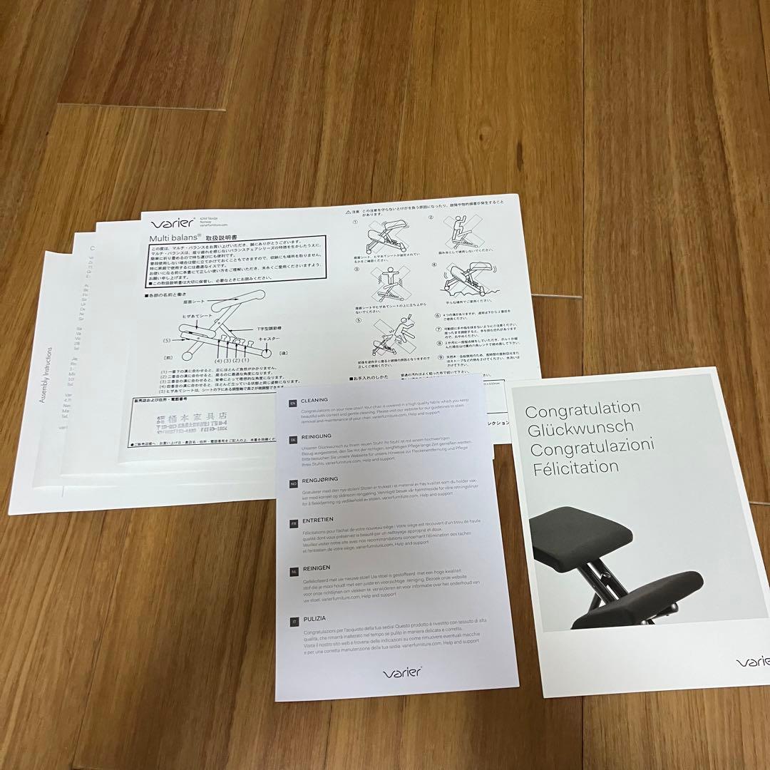 【希少カラー】varier バランスチェア multi ストッケ stokke