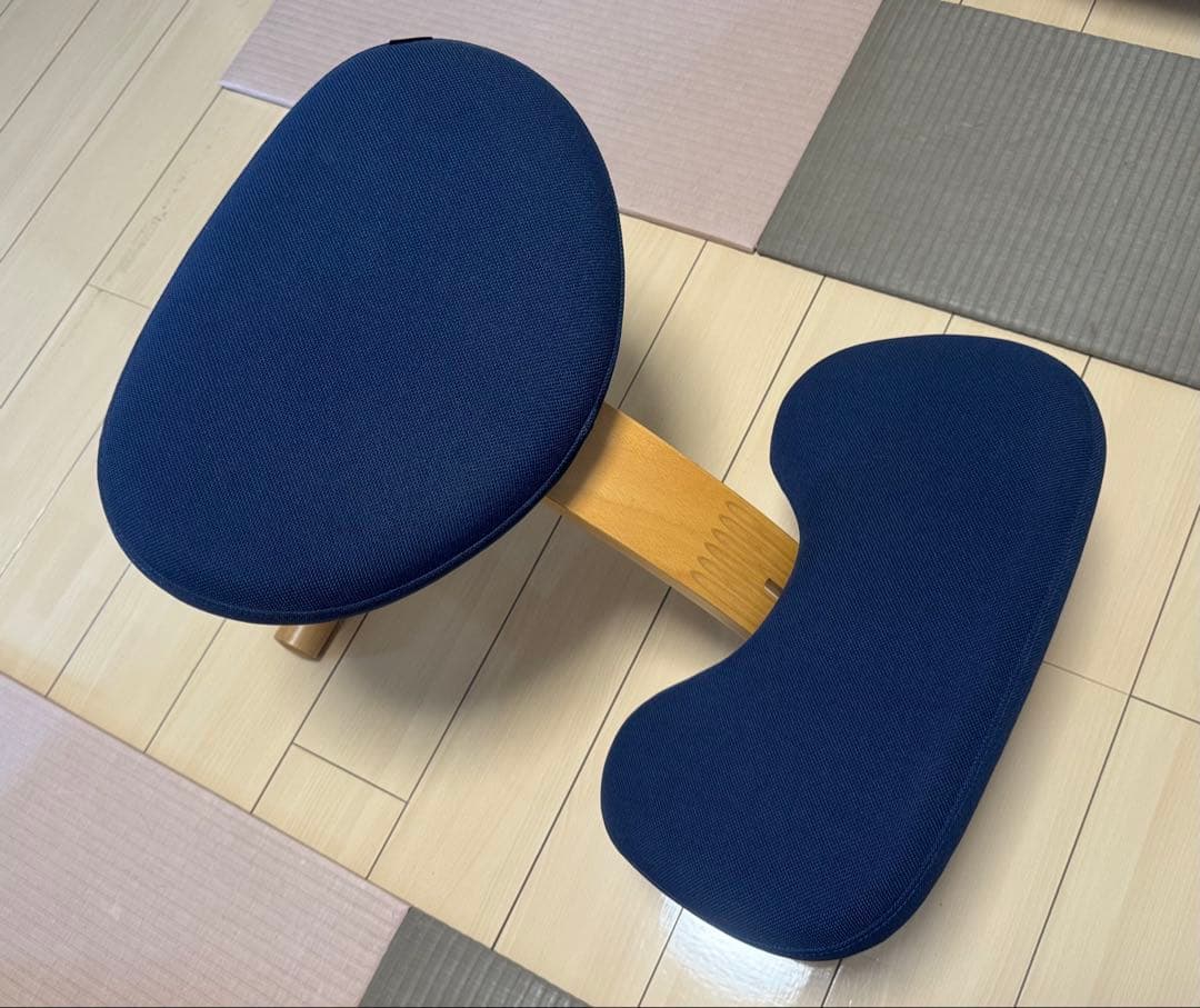 サカモトハウス社 バランスチェア・イージー 純正カバー（ネイビー）付