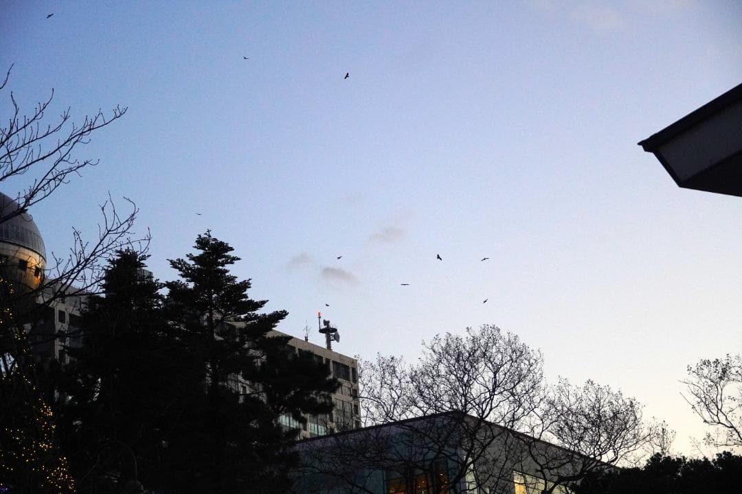 SONY α6400M ILCE-6400M 高倍率ズームレンズキット