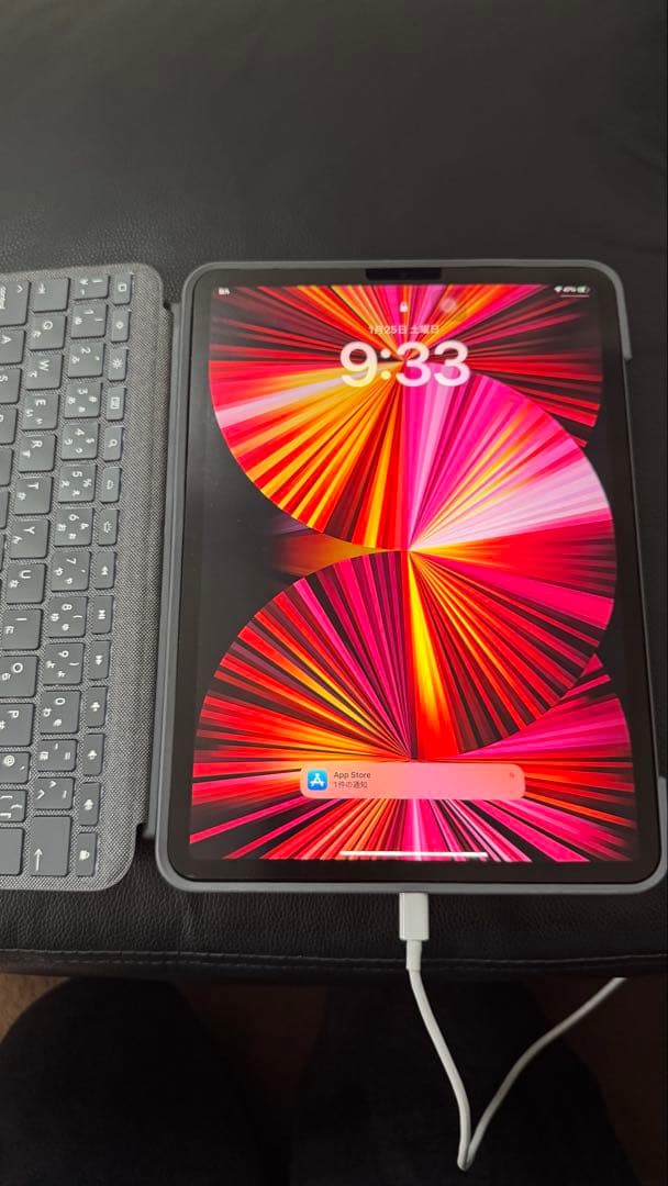 NeeeeeeeeiPad Pro(第3世代)11インチ 128GB