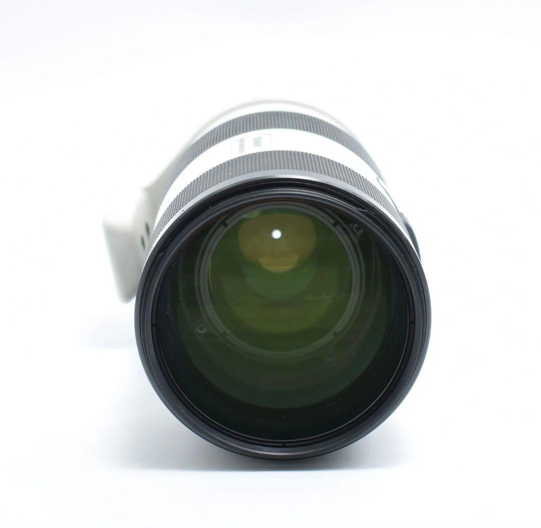 Sony Aマウント 70-200mm f2.8 Gレンズ SAL70200G