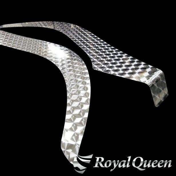 0659 日野 新型 17プロフィア フェンダーパネル ウロコ柄