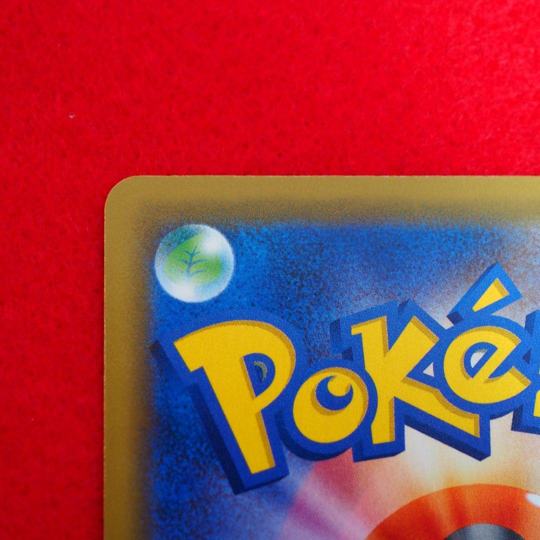 海で遊ぶピカチュウ