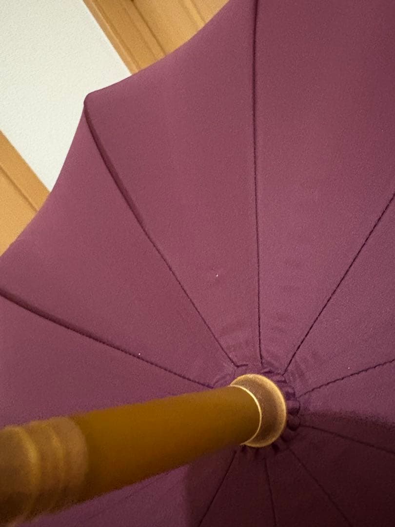 ヴィヴィアンウエストウッド 雨傘☆未使用☆vivienne westwood