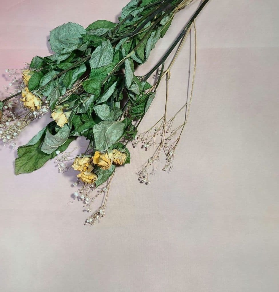 ブライスアウトフイット(みーちゃん)