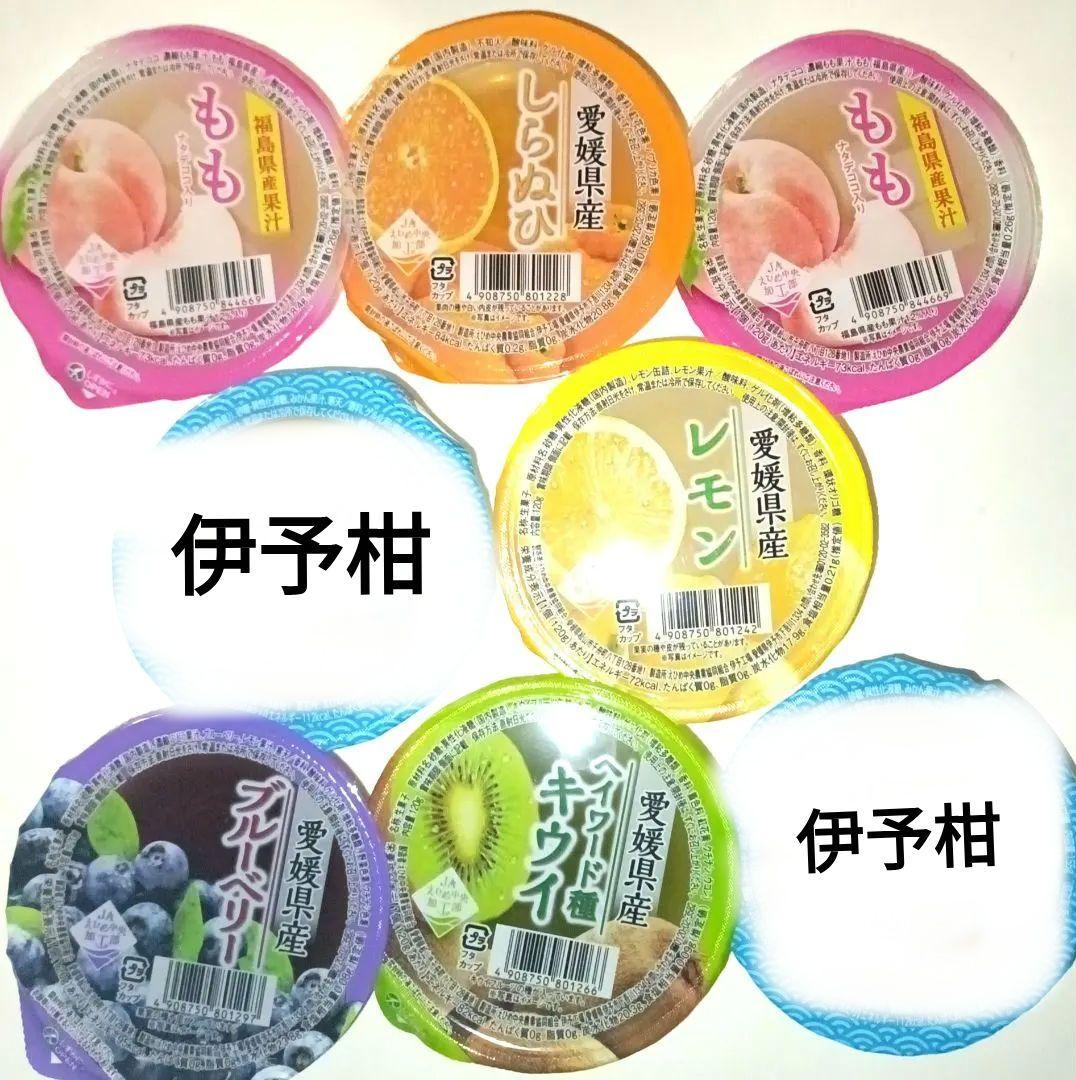 えひめ中央農業協同組合 愛媛県産 果肉入り柑橘ゼリー8点