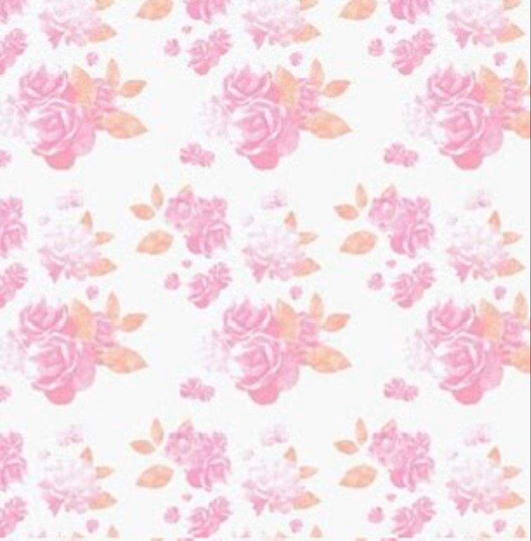 ミニポーチ 2種 みい様•*¨*•.¸♬︎