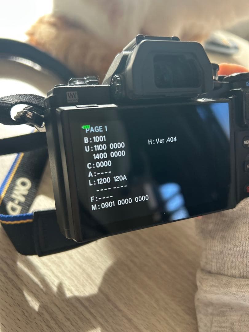 【OLYMPUS OM-D E-M10 MarkⅢ】美品・シャッター数631回